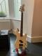 1980s Marlin Sidewinder Bass Cream Superb Condition