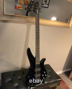 5 string bass guitar