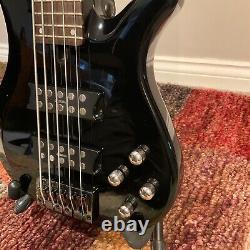 5 string bass guitar