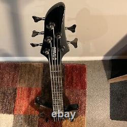 5 string bass guitar