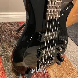 5 string bass guitar