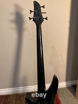 5 string bass guitar