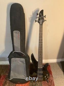 5 string bass guitar