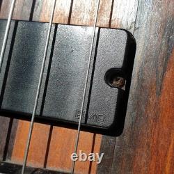 6 String fretless bass guitar by João Gravina Brazilian Luthier