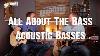 Acoustic Basses Are They Any Good All About The Bass