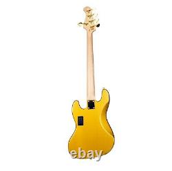 Allen Eden Guitars Disciple 5 Standard Gold Sparkle with Case