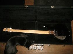 Ampeg Dan Armstrong Bass Guitar 1998 MIJ Reissue, 2 Pickups, Case, Tool, Brochure