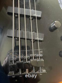 Aria Pro 2 Magna MAB 20/5 5 string bass with case