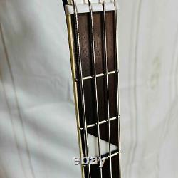 Aria Pro? Electric Bass Guitar Rock'n' Roller LRB-800 4001 Model with Gig bag