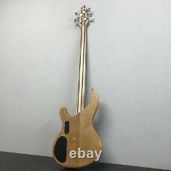 Aria Pro II IGB-50 ROSE Electric Bass Guitar with Soft Case