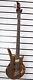 Bass Guitar Electric 5 String Shine Sb205na Walnut Top Maple Body Active Y-30