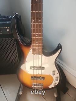 Bass Guitar, With Amp