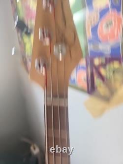 Bass Guitar, With Amp