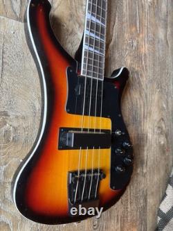 Bass R Backer