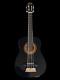 Bass Ukulele Short Scale Bass Ubass Electric Acoustic Eab