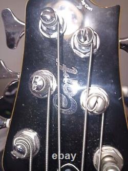 Cort A6 6 String Bass Guitar With Gig Bag Great Instrument Very Good Condition