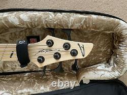 Dingwall AB1 5/3 Bass Plus Fitted Case