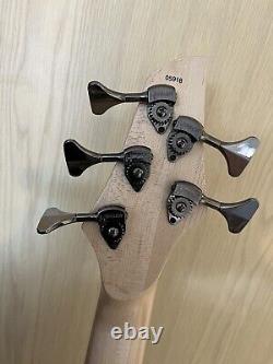 Dingwall NG3 5 String Bass + Extras