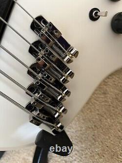 Dingwall NG3 5 String Bass + Extras