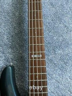 ESP LTD B-105 5 String Bass Guitar