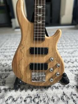 Electric Bass Guitar