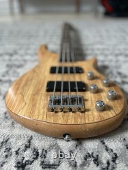 Electric Bass Guitar