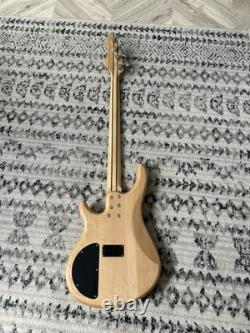 Electric Bass Guitar