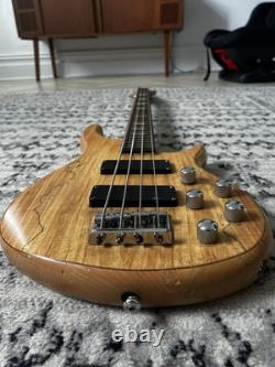 Electric Bass Guitar