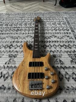 Electric Bass Guitar