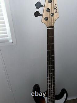 Electric bass guitars used