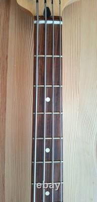 Fender Player Mustang Bass guitar, made in Mexico, La Bella flat wound strings