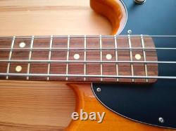 Fender Player Mustang Bass guitar, made in Mexico, La Bella flat wound strings