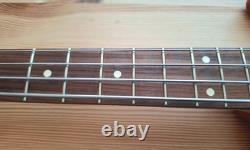 Fender Player Mustang Bass guitar, made in Mexico, La Bella flat wound strings