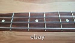 Fender Player Mustang Bass guitar, made in Mexico, La Bella flat wound strings