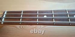 Fender Player Mustang Bass guitar, made in Mexico, La Bella flat wound strings