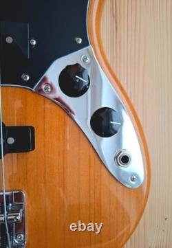 Fender Player Mustang Bass guitar, made in Mexico, La Bella flat wound strings