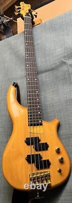 Fenix 5 String Bass Guitar Recent Refret, Repair, Upgrades And Pro Set Up