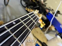 Fenix 5 String Bass Guitar Recent Refret, Repair, Upgrades And Pro Set Up