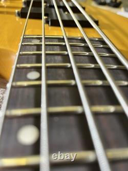 Fenix 5 String Bass Guitar Recent Refret, Repair, Upgrades And Pro Set Up