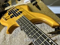 Fenix 5 String Bass Guitar Recent Refret, Repair, Upgrades And Pro Set Up