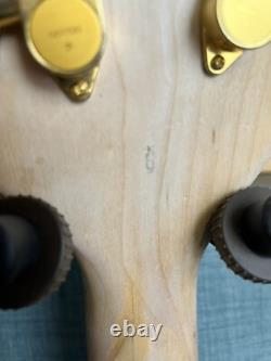 Fenix 5 String Bass Guitar Recent Refret, Repair, Upgrades And Pro Set Up