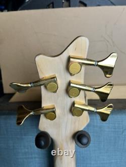 Fenix 5 String Bass Guitar Recent Refret, Repair, Upgrades And Pro Set Up