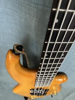 Fenix 5 String Bass Guitar Recent Refret, Repair, Upgrades And Pro Set Up