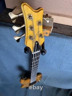 Fenix 5 String Bass Guitar Recent Refret, Repair, Upgrades And Pro Set Up