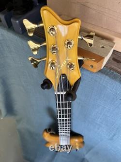 Fenix 5 String Bass Guitar Recent Refret, Repair, Upgrades And Pro Set Up