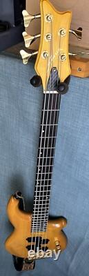 Fenix 5 String Bass Guitar Recent Refret, Repair, Upgrades And Pro Set Up