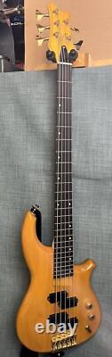 Fenix 5 String Bass Guitar Recent Refret, Repair, Upgrades And Pro Set Up