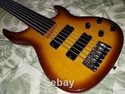 Fretless Bass, 6 Strings, Passive Jazz Pickups, Roundwound Strings