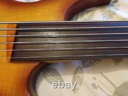 Fretless Bass, 6 Strings, Passive Jazz Pickups, Roundwound Strings