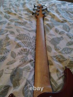 Fretless Bass, 6 Strings, Passive Jazz Pickups, Roundwound Strings